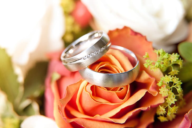 Wedding budget spreadsheet template preview showing wedding rings